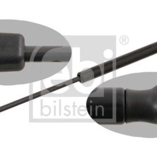 46744596 ΑΜΟΡΤΙΣΕΡ ΠΟΡΤ-ΠΑΓΚΑΖ FIAT FEBI