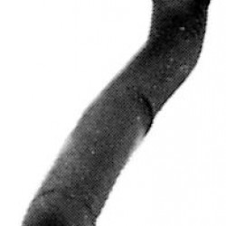 68671 / 1335294  ΣΩΛΗΝΑΣ 143++